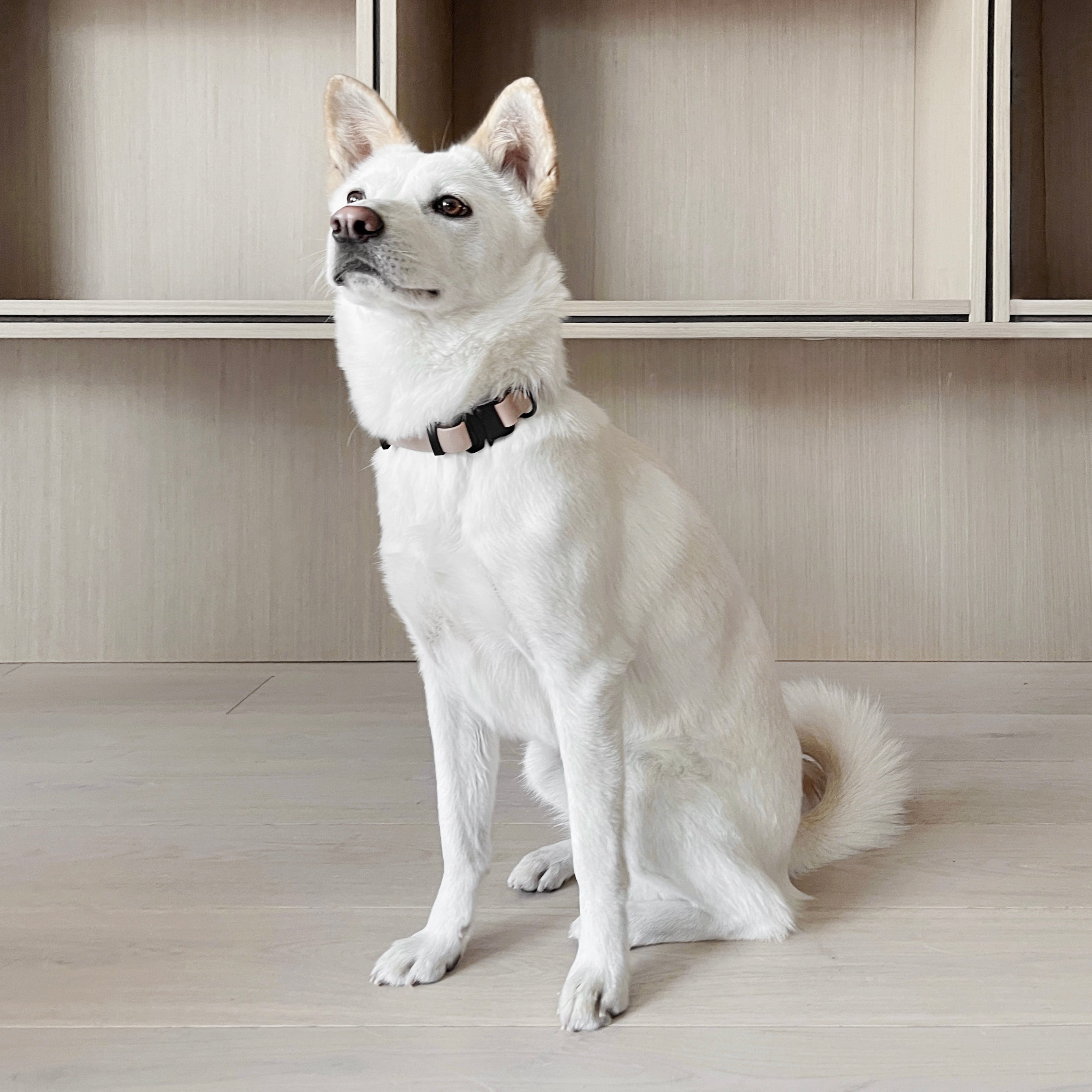 AVA - Lambwolf Collective