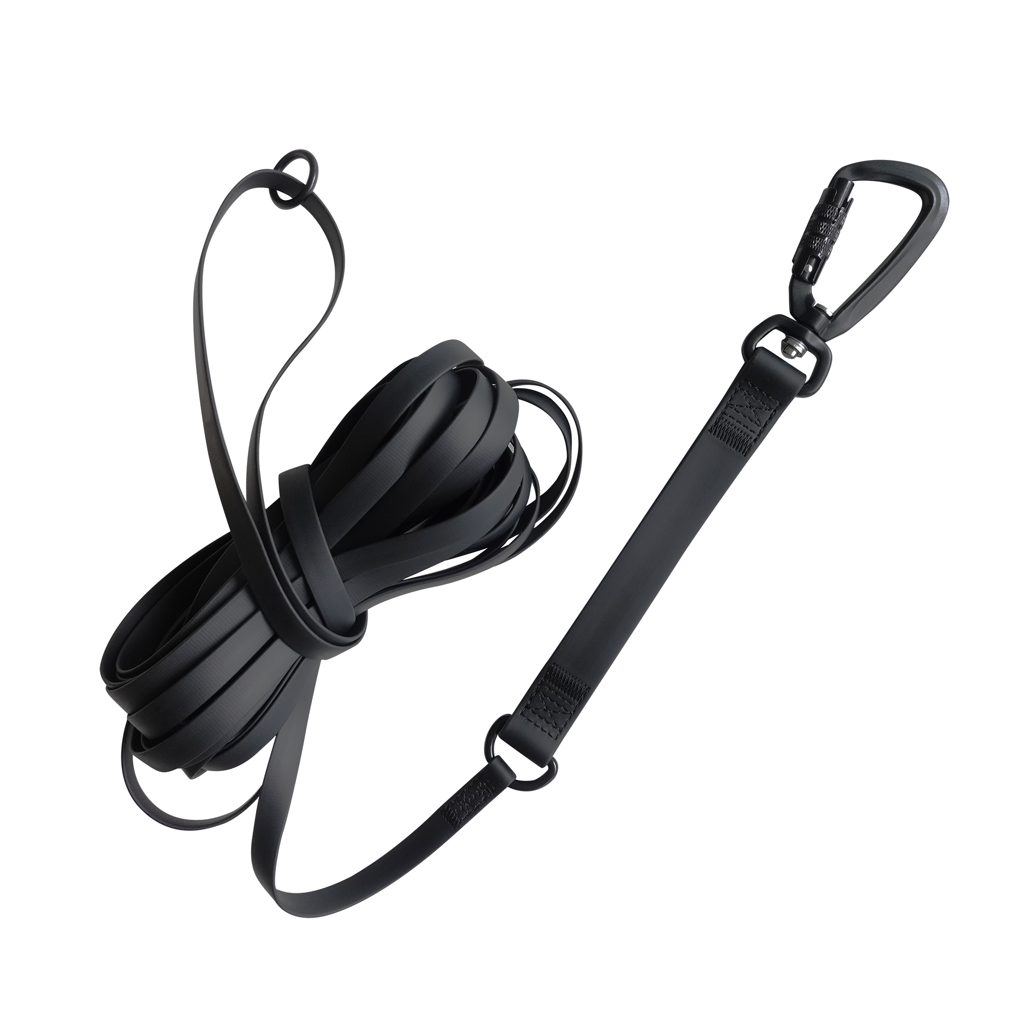 Black dog leash with metal carabiner clasp. 
