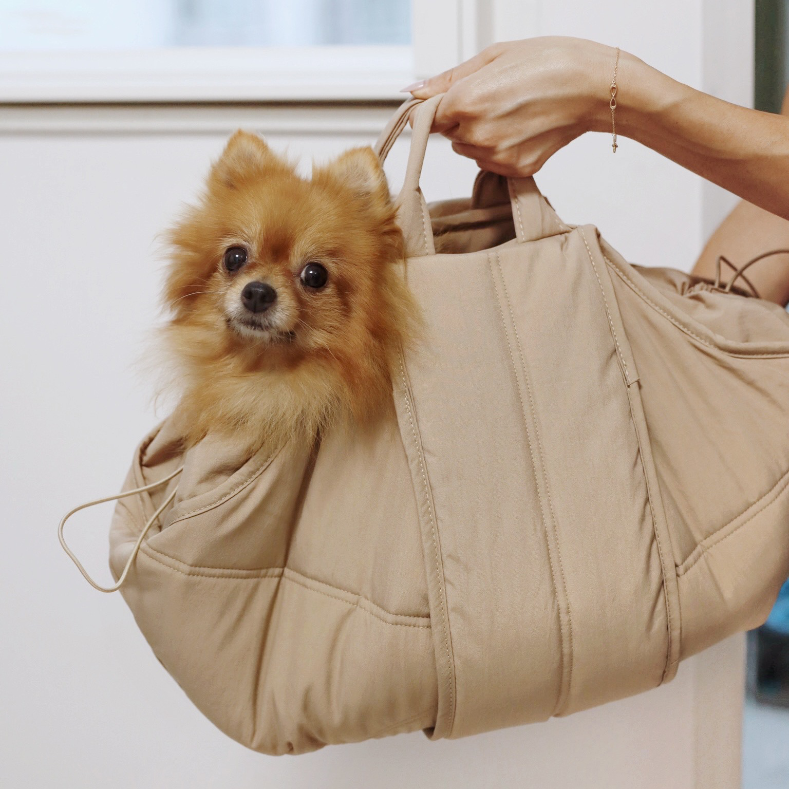 Olla Dog carrier Sling dog carrier 