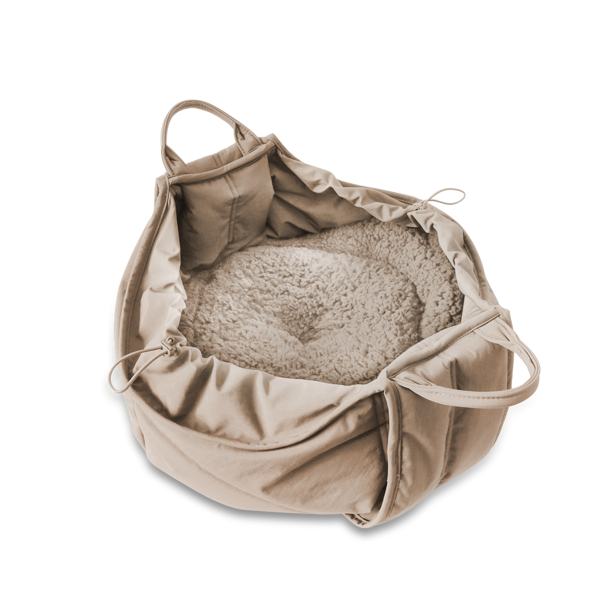 OLLAcamel.png?crop=center&