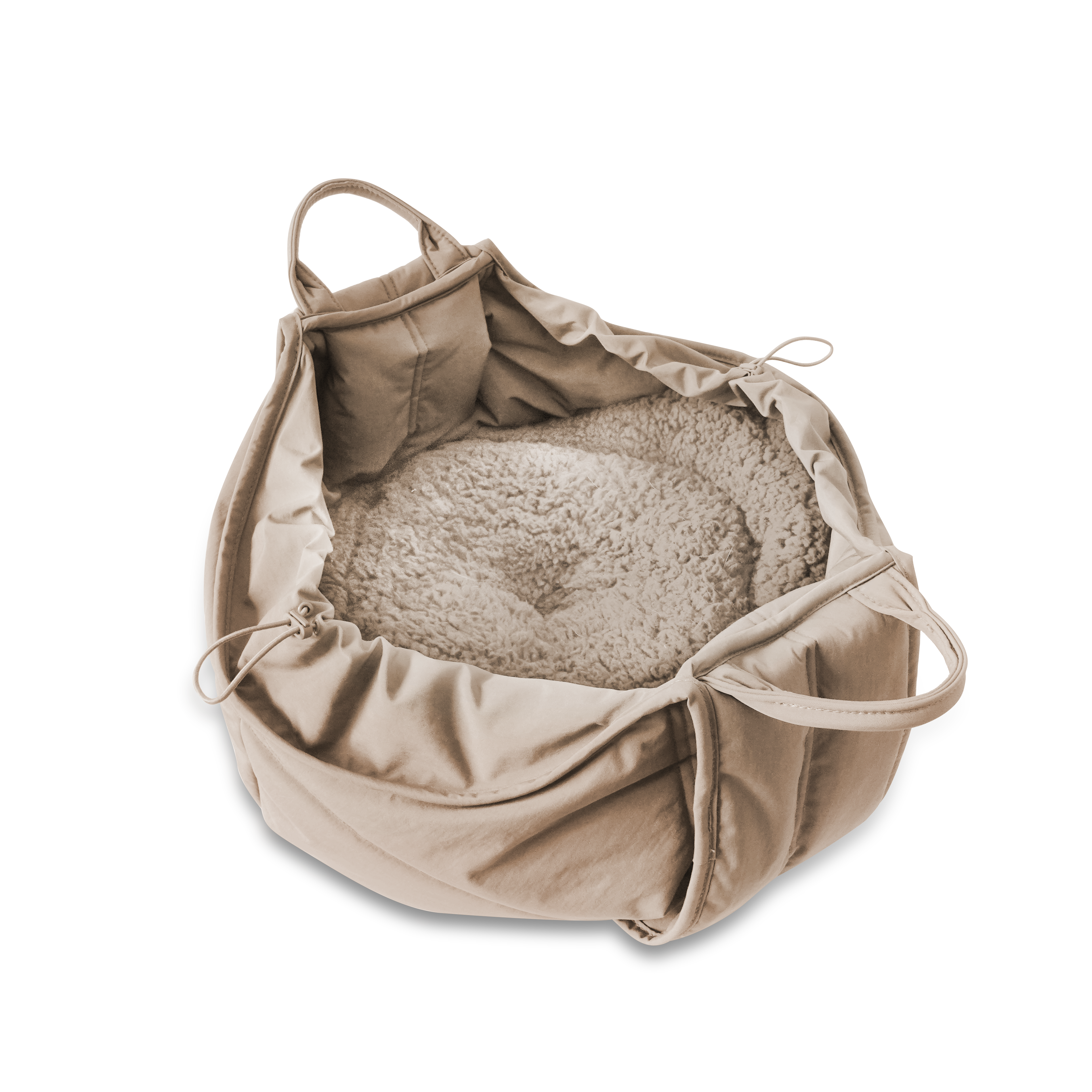 OLLA - Lambwolf Collective