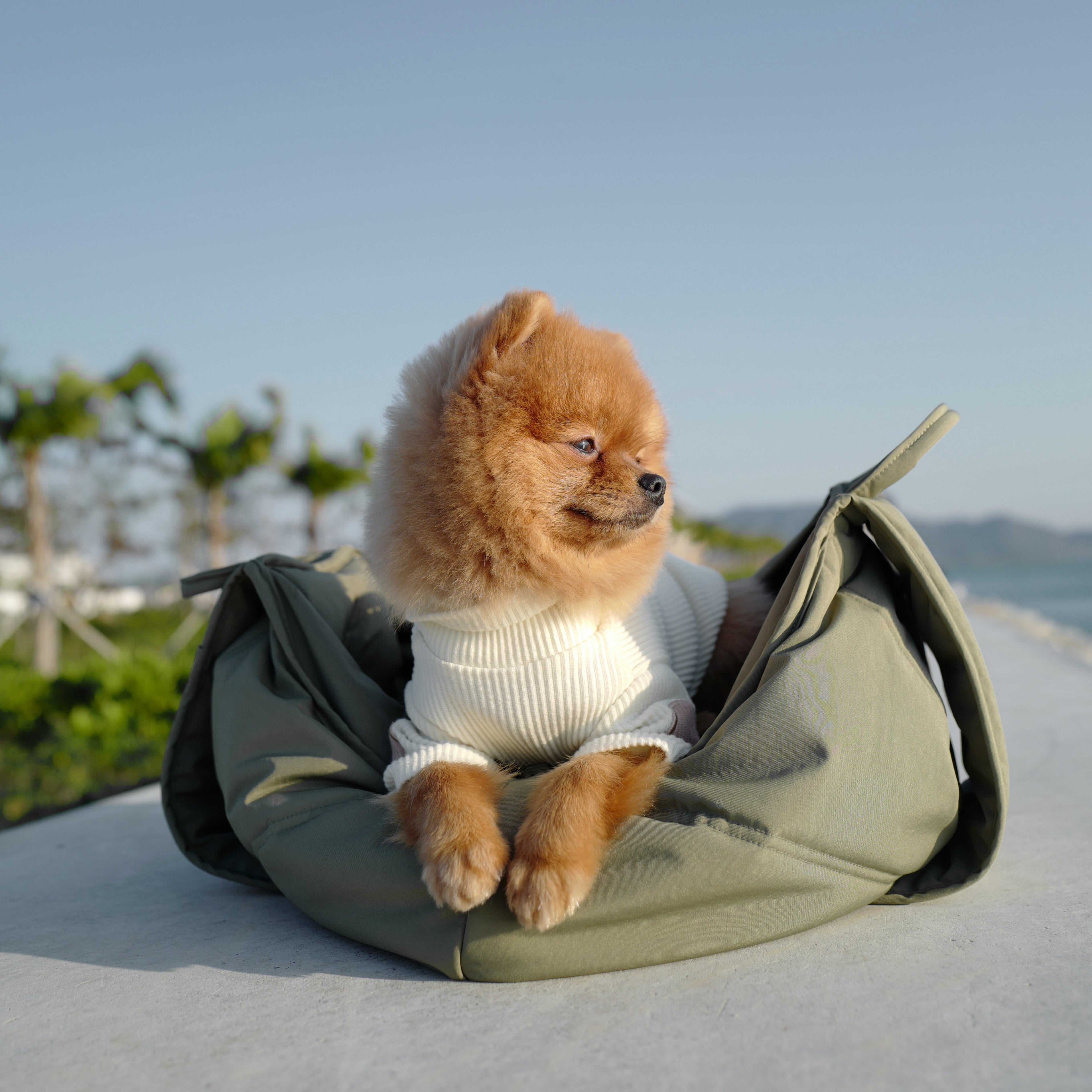Olla Dog carrier Sling dog carrier 