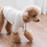 Breton Dog Clothes Dog Tee Dog Apparel Cream White