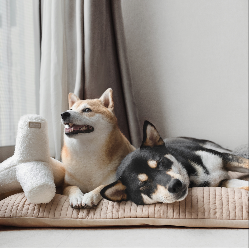 NOUNOU - Enrichment and Interactive Dog Toy