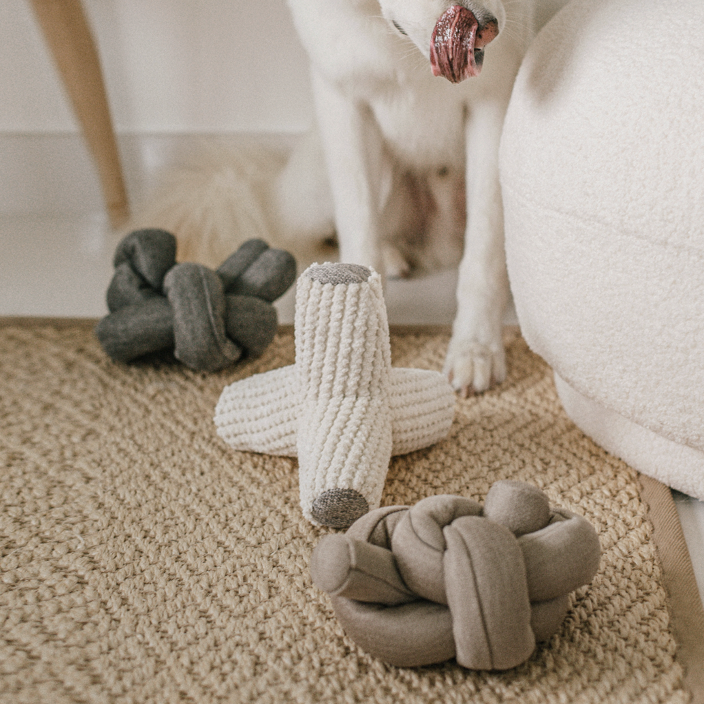 A playful white dog eyes a selection of knotted and textured fabric dog toys scattered on a natural woven rug. 
