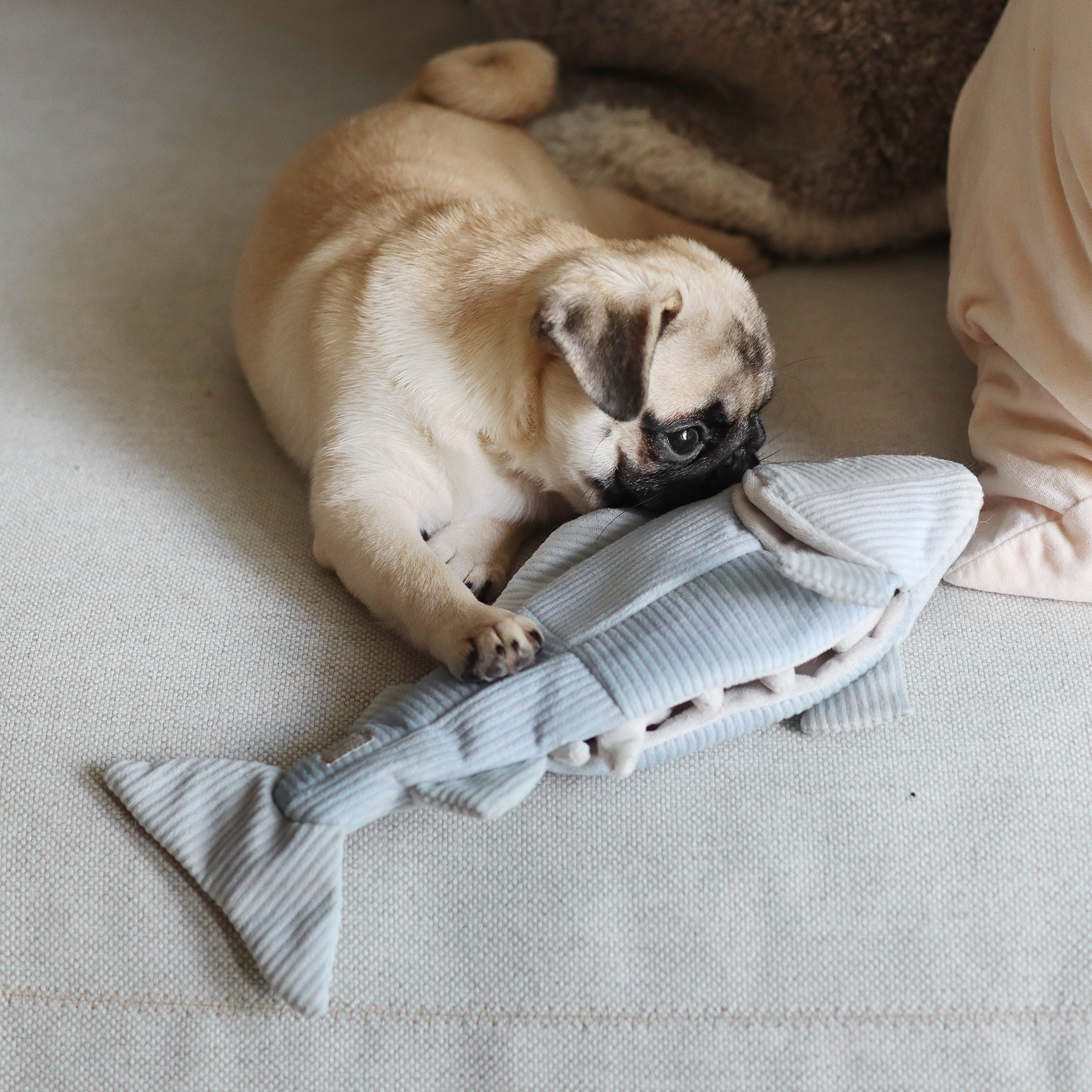 Lambwolf Collective Trout Enrichment Dog Toy Lambwolf Collective Trout Enrichment Dog Toy
