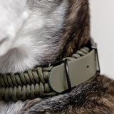 Adjustable handwoven braid dog Collar 