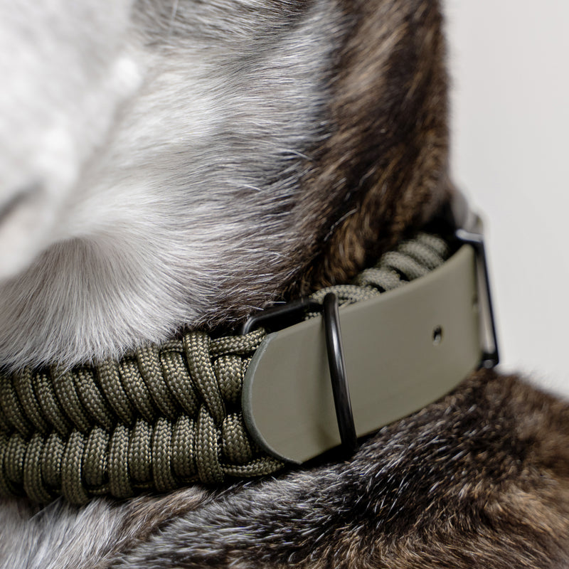 FOSSIL WIDE - Adjustable Handwoven Braid Dog Collar – Lambwolf Collective