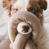 NOU® - Lambwolf Collective