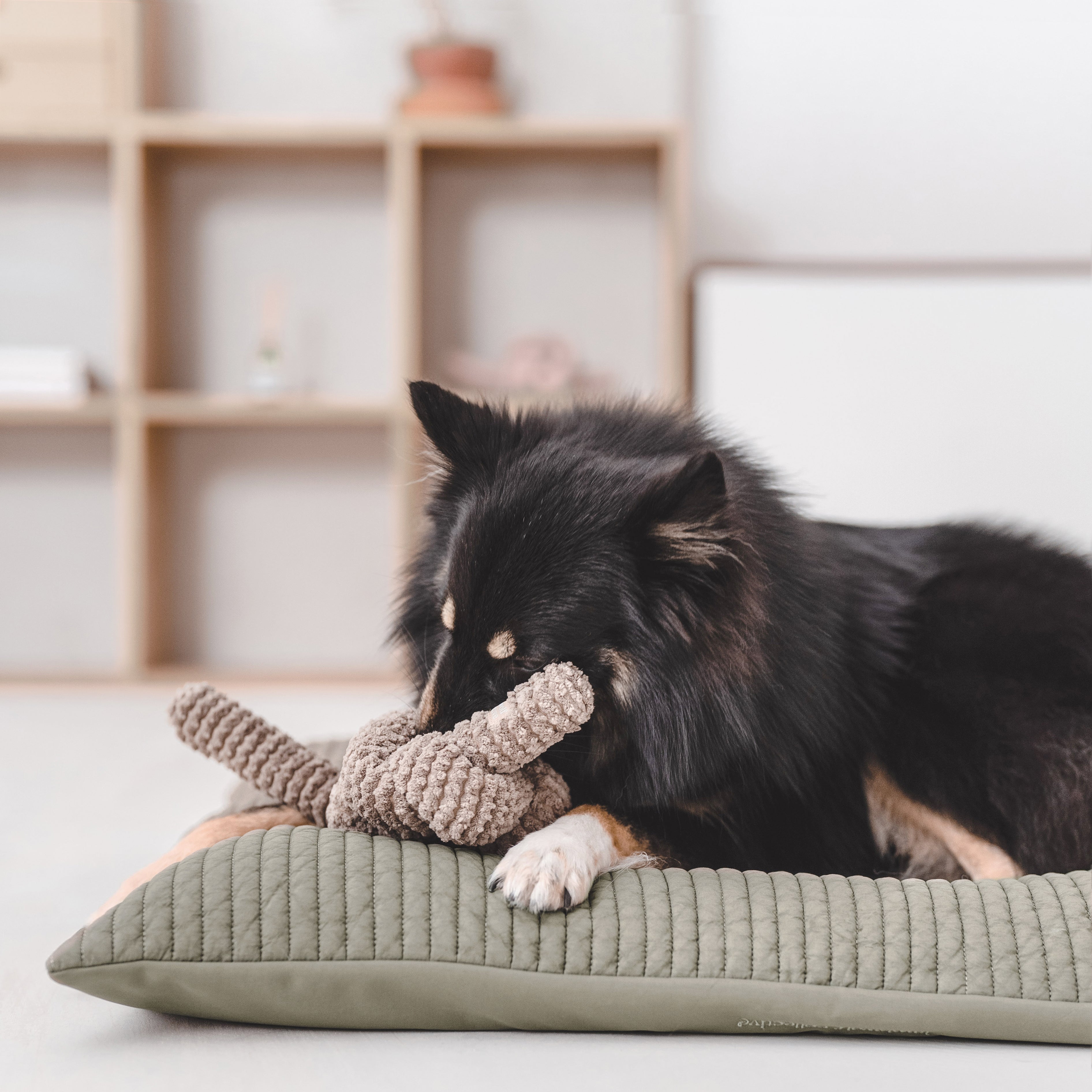 Black and tan dog chews a plush toy while relaxing on a green dog bed. 

