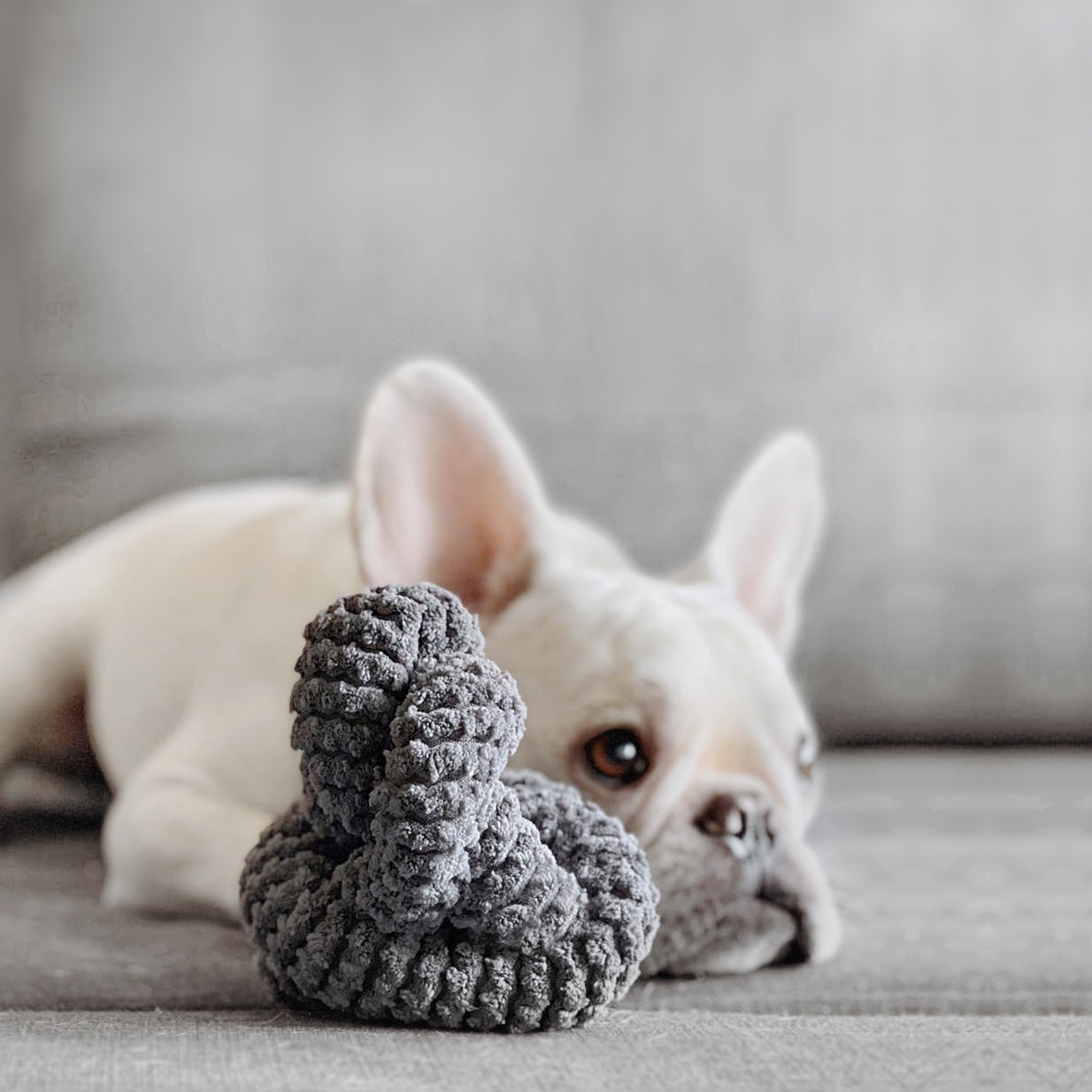 Lambwolf NOUNOUNOU Shapeshifting Dog Toys