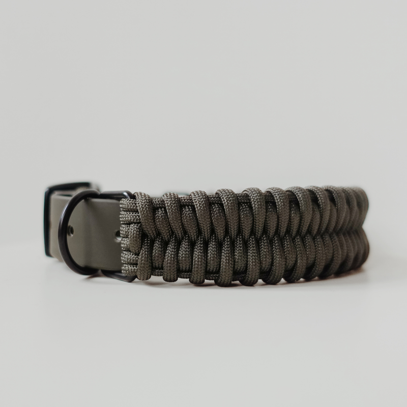 Adjustable handwoven braid dog Collar in pine green
