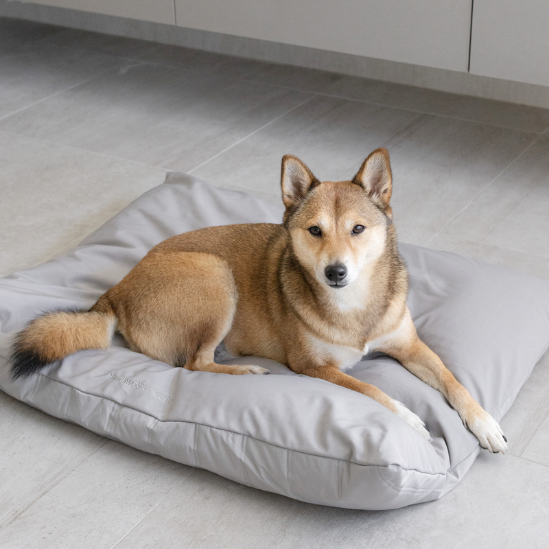 Maatin Dog bed waterproof low rise dog bed convertible dog bed
