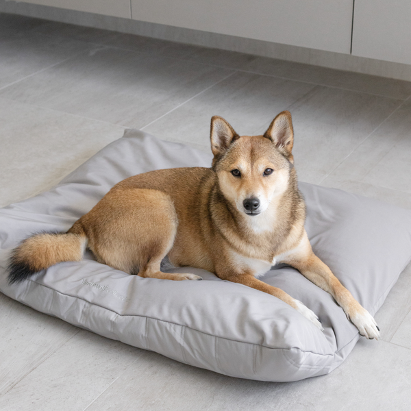 Dog bed inserts wholesale cheap