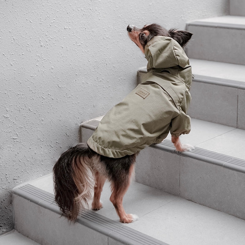 Brooklyn Raincoat Fern Green color Dog Clothes Dog apparel 