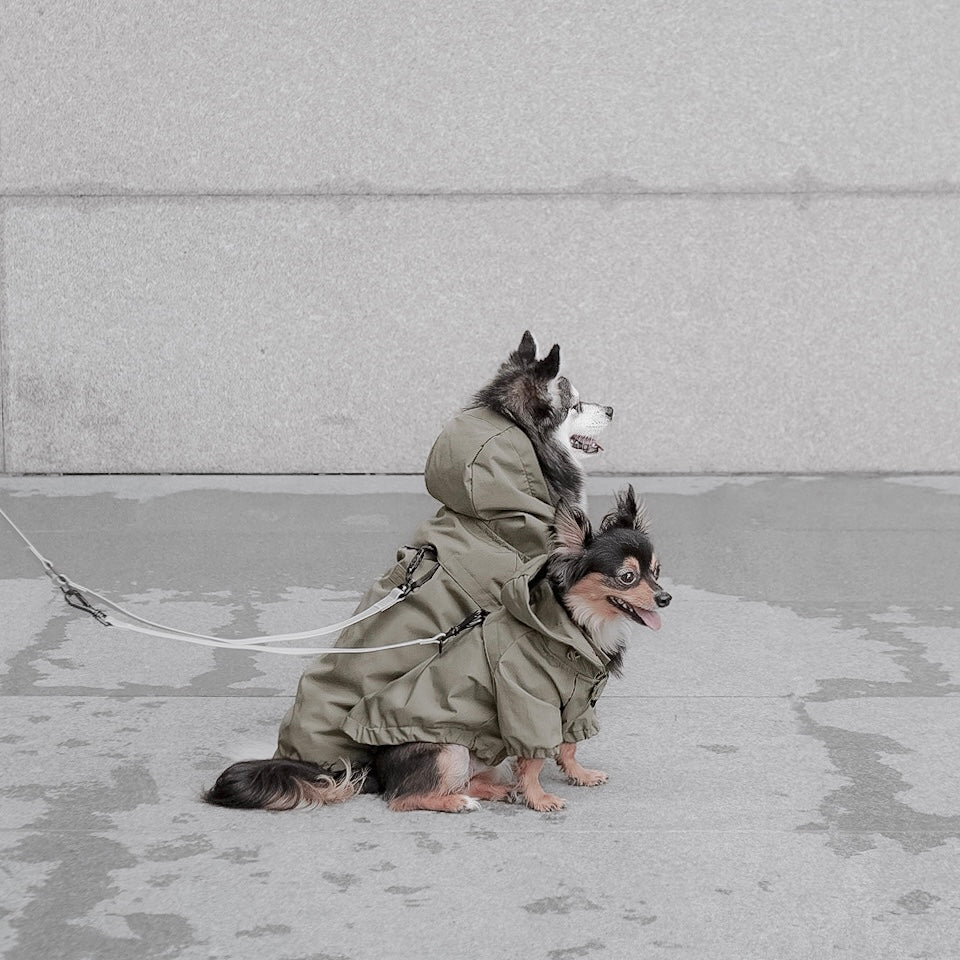 BROOKLYN - Lambwolf Collective