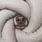 NOU® - Lambwolf Collective