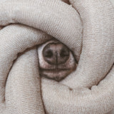 NOU® - Lambwolf Collective