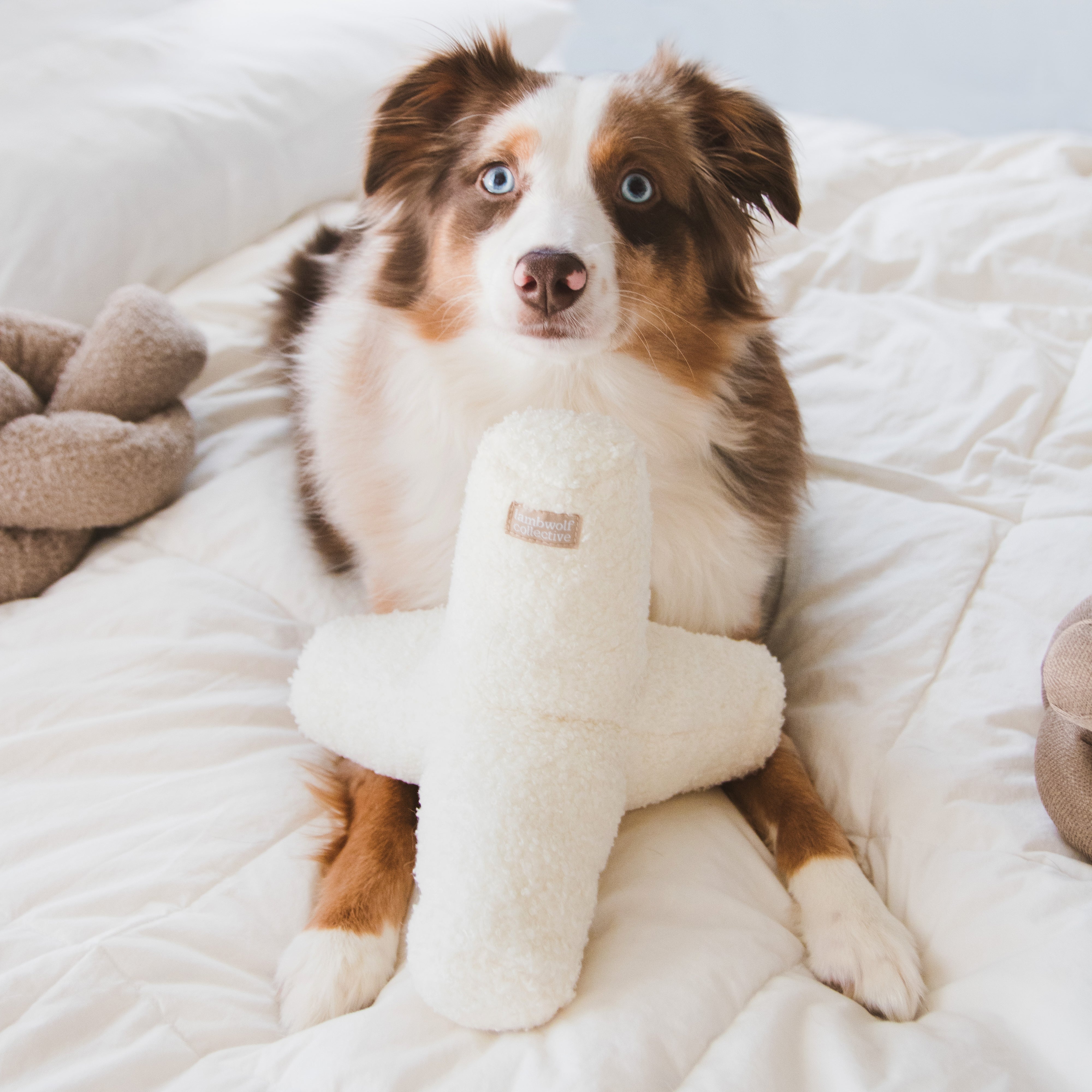 O BREUER - Lambwolf Collective