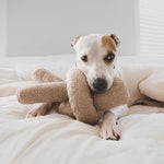 O NOU - Lambwolf Collective