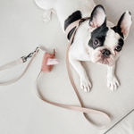 MEMO - Lambwolf Collective