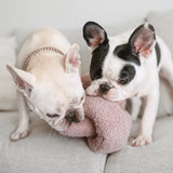 O NOU - Lambwolf Collective