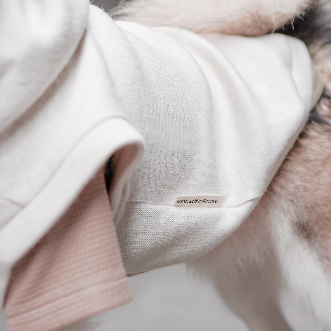 Robin dog clothes dog apparel dog hoodie dog outfit