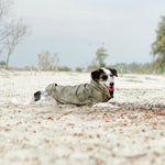 BROOKLYN - Lambwolf Collective