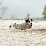 BROOKLYN - Lambwolf Collective