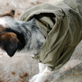 Brooklyn Raincoat Fern Green color Dog Clothes Dog apparel 