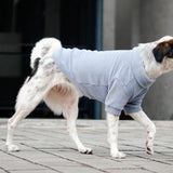 Polar dog clothes Dog apparel dog outfit dog coat in blue 