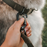 Mellem X waterproof hands free dog leash convertible