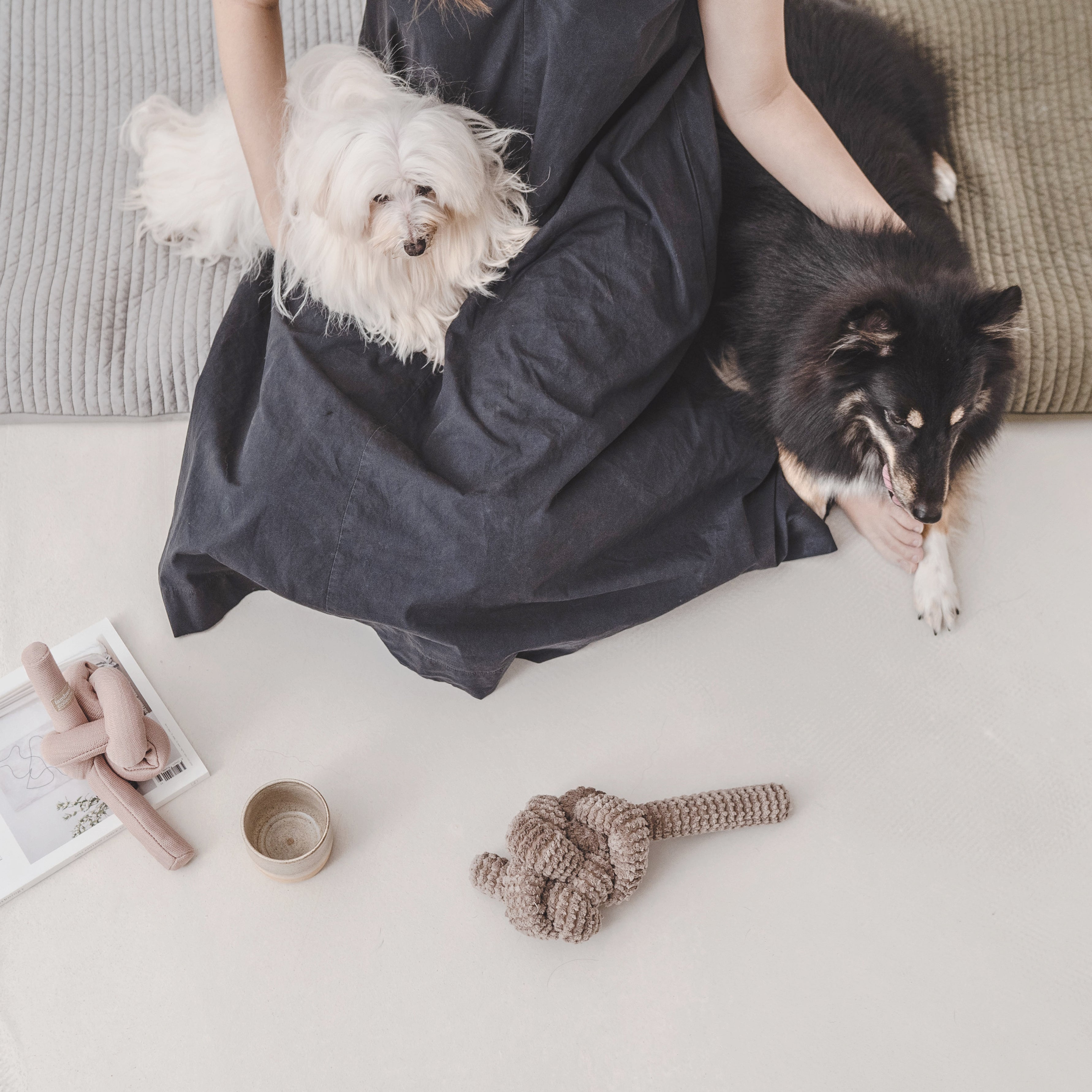 Woman in a black dress sits on the floor with a small white dog and a black and white dog, surrounded by dog toys. 
