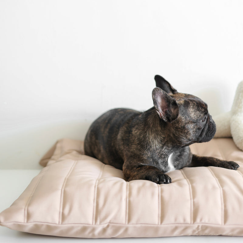 Maatin Dog bed waterproof low rise dog bed cover convertible dog bed
