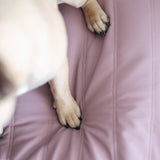 Maatin Dog bed waterproof low rise dog bed cover convertible dog bed
