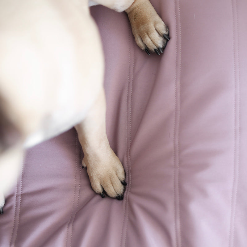 Maatin Dog bed waterproof low rise dog bed cover convertible dog bed